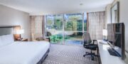 Hilton Memphis Hotel Room