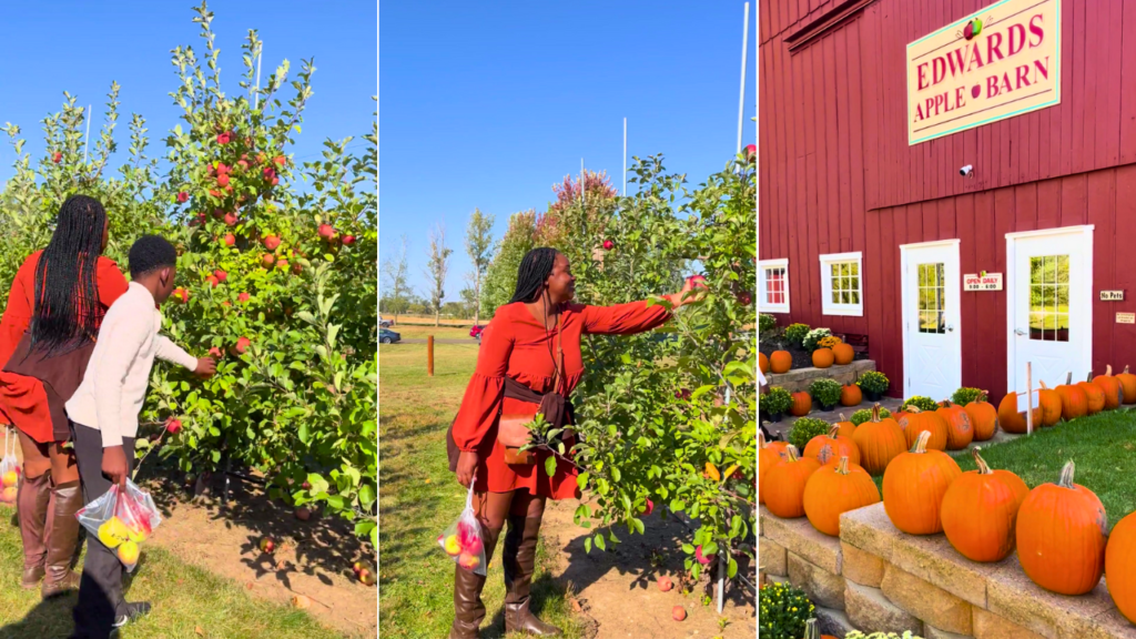 Edward's Apple Orchard West