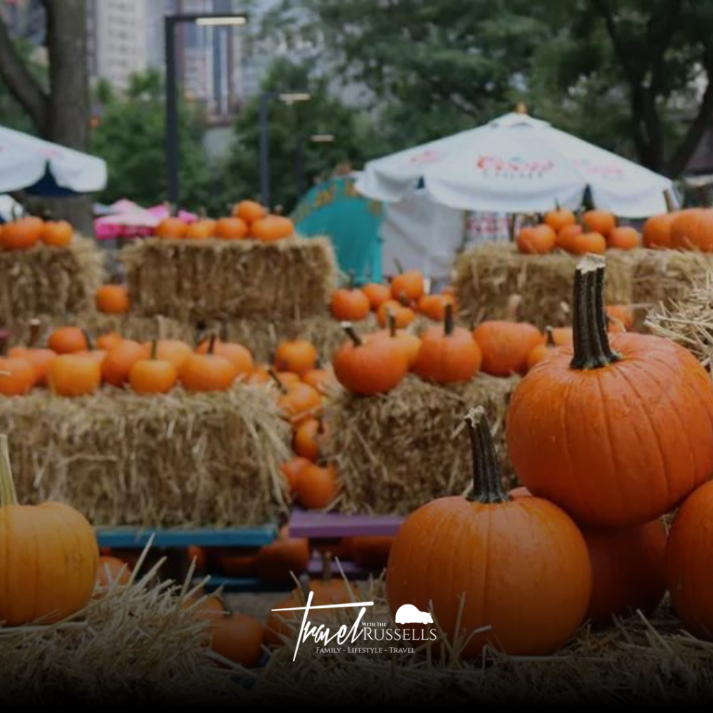 Chicago Fall Fest, Chicago Riverwalk Activities, Things to Do in Chicago in October 2024