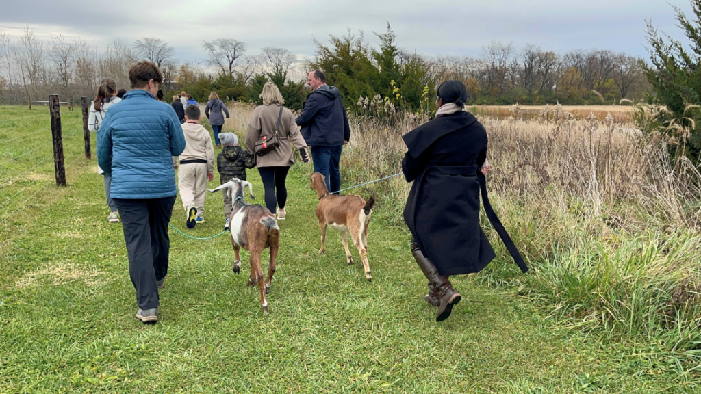 Goat Hike Tour at Champaign IL 