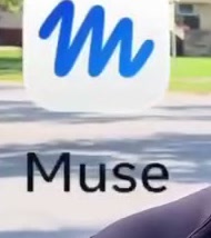Muse by Meta logo