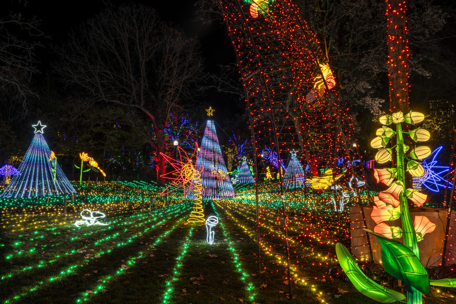 ZooLights at Lincoln Park Zoo