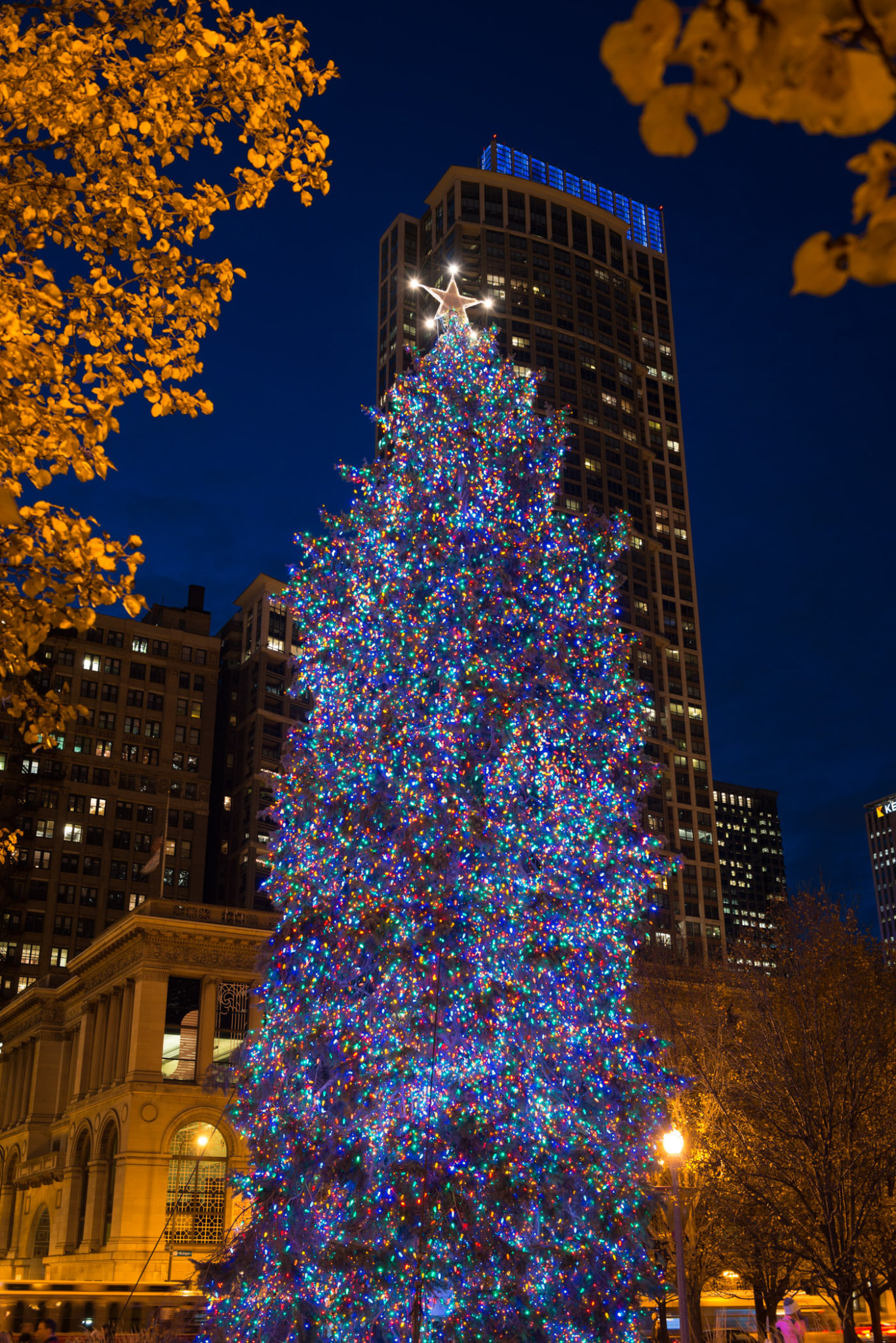 Chicago Christmas tree at Millennium Park