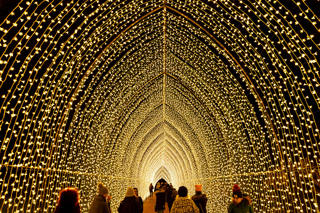 Lightscape at Chicago Botanic Garden