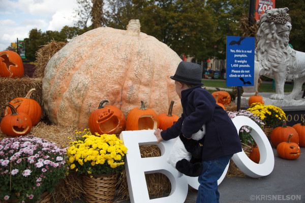 Family Halloween fun with a giant pumpkin at Brookfield Zoo Chicago