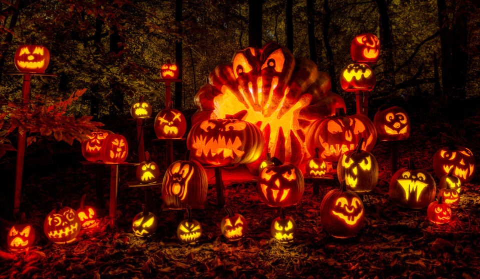 Carved jack-o'-lanterns glowing at night at the Chicago Botanic Garden